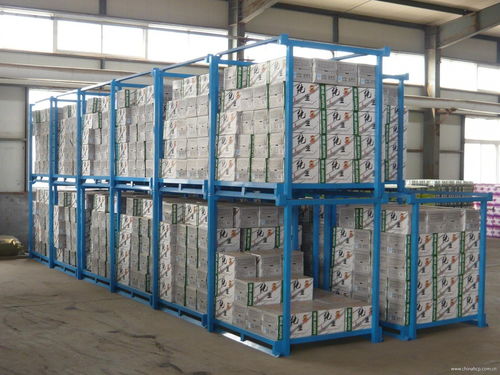 山东潍坊仓储物流解决方案 堆垛架与食品货架的创新实践
